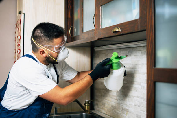 Best Pest Control for Restaurants  in Groveton, VA