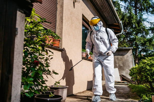 Best Affordable Pest Control Services  in Groveton, VA
