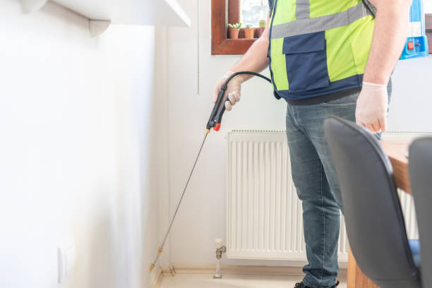 Best Rat Extermination Near Me  in Groveton, VA
