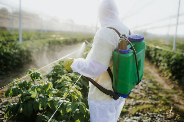 Best Insect Control  in Groveton, VA
